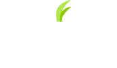 Tor onion service mark
